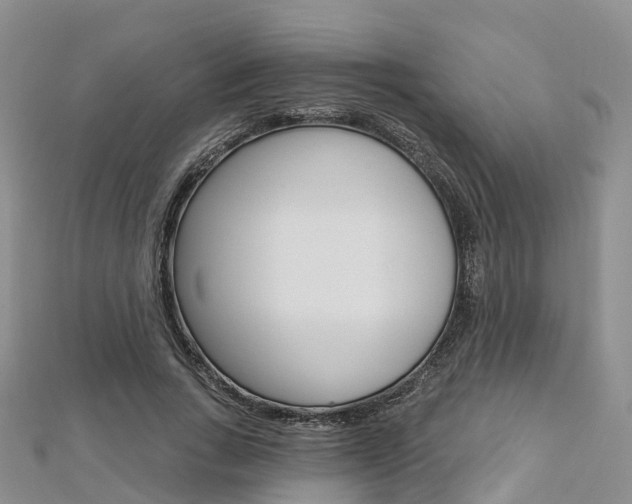 X0000112740735200908201034
