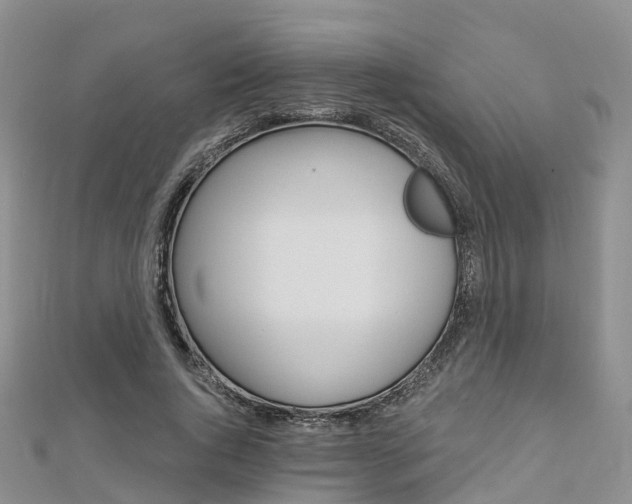 X0000112740736200908201034