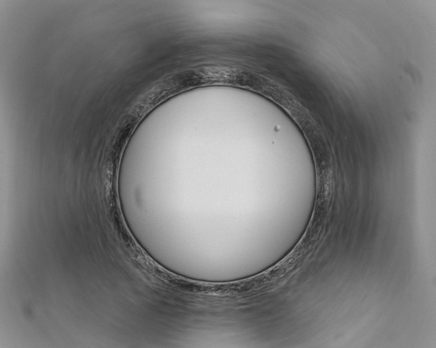 X0000112740737200908201034