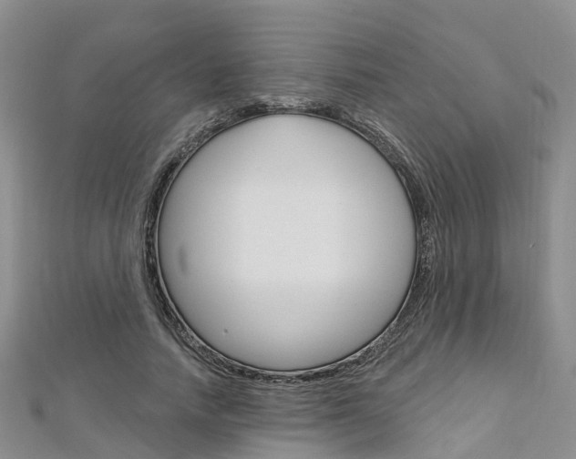 X0000112740738200908201034