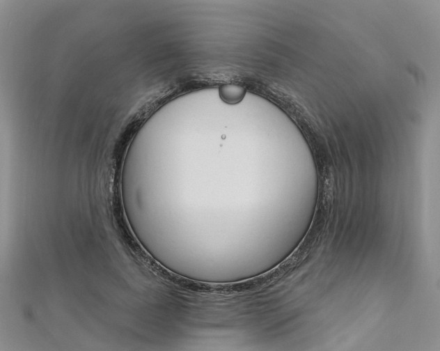 X0000112740739200908201035