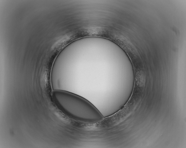 X0000112740740200908201035