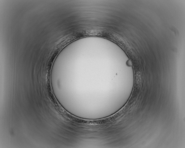 X0000112740741200908201035