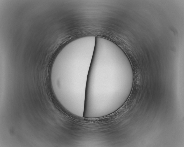 X0000112740743200908201035