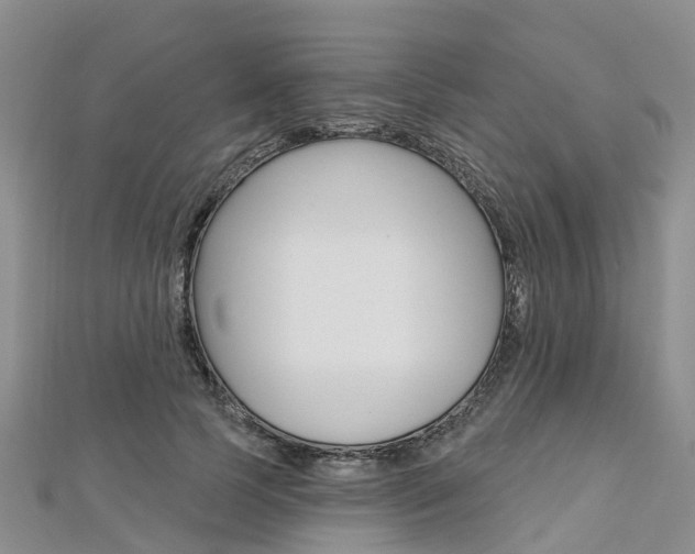 X0000112740745200908201035