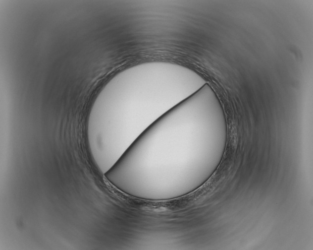 X0000112740747200908201035