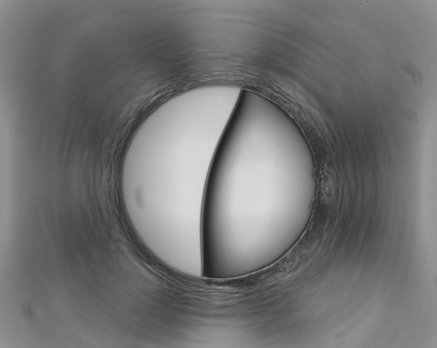 X0000112740748200908201035