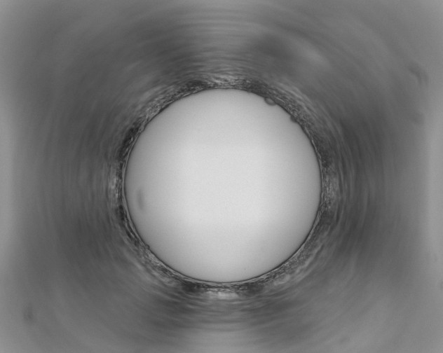 X0000112740749200908201035