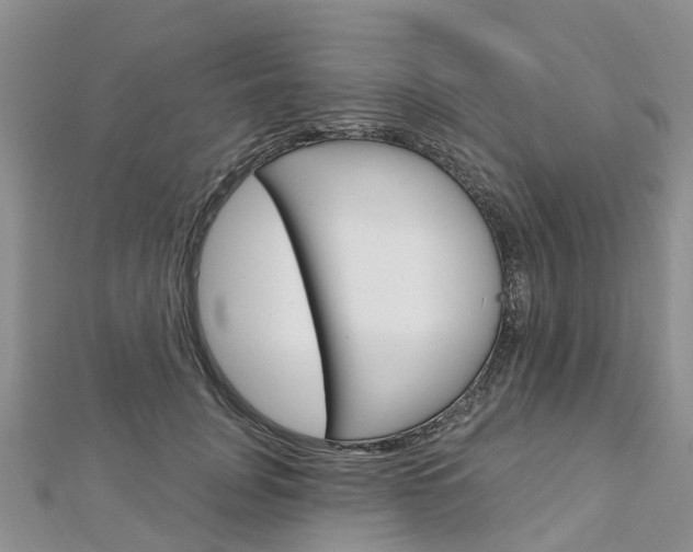 X0000112740751200908201035