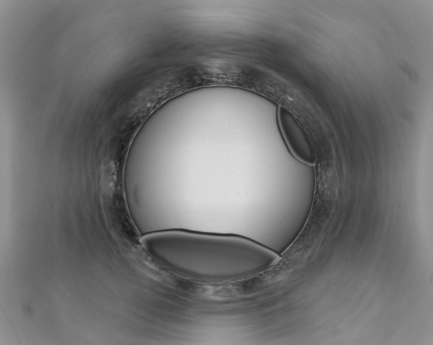 X0000112740752200908201035
