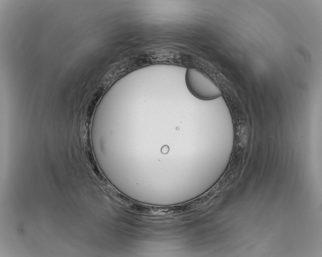 X0000112740753200908201035