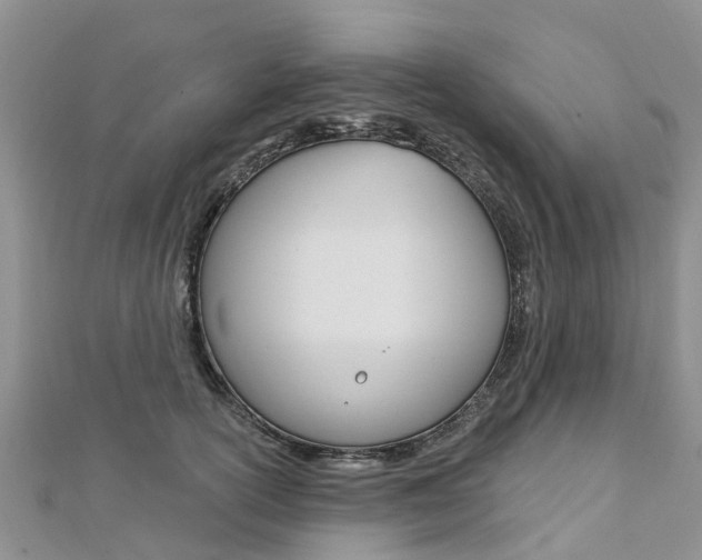 X0000112740754200908201035