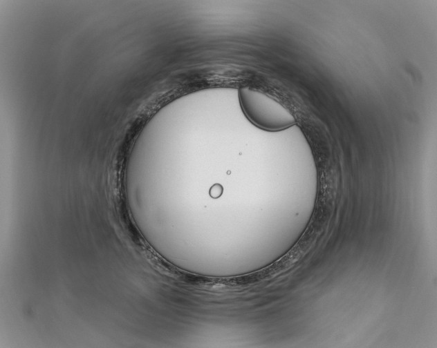 X0000112740755200908201035