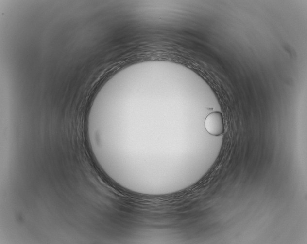 X0000112740756200908201035