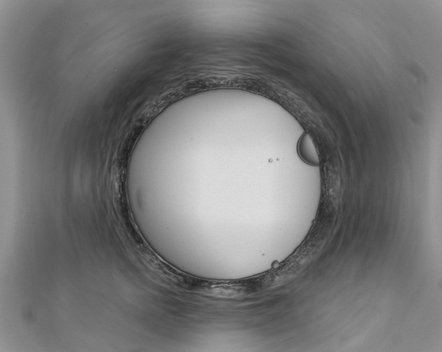 X0000112740758200908201035