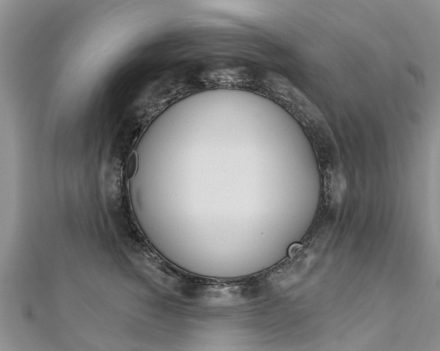 X0000112740760200908201035