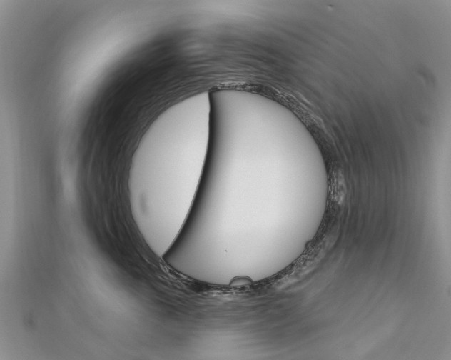 X0000112740763200908201035