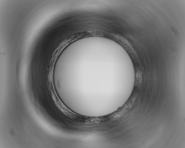 X0000112740765200908201035