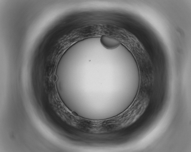 X0000112740766200908201035