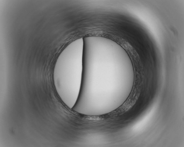 X0000112740767200908201035