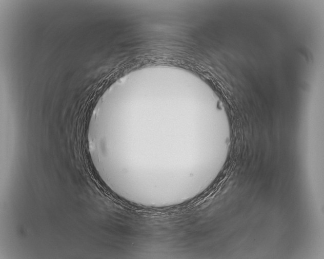 X0000112740769200908201034