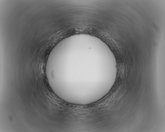 X0000112740770200908201034