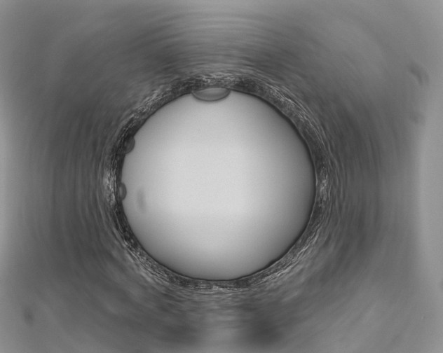 X0000112740772200908201034