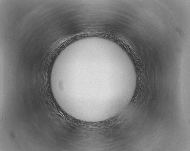X0000112740773200908201034