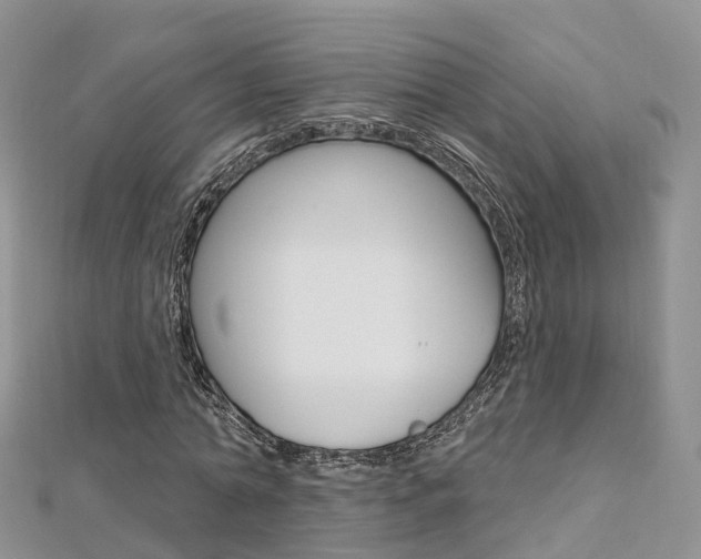 X0000112740774200908201034