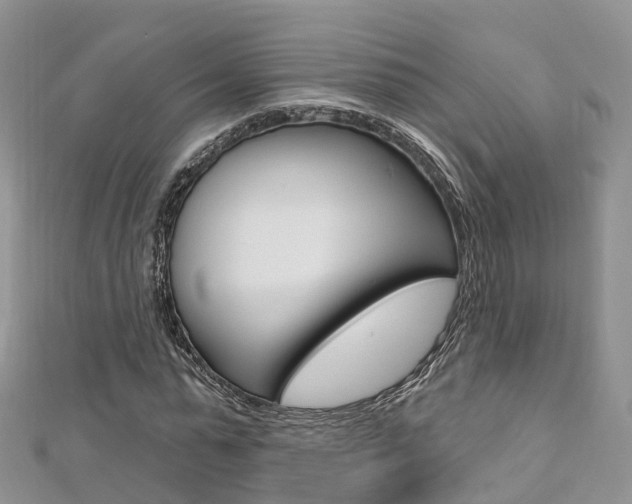 X0000112740775200908201034