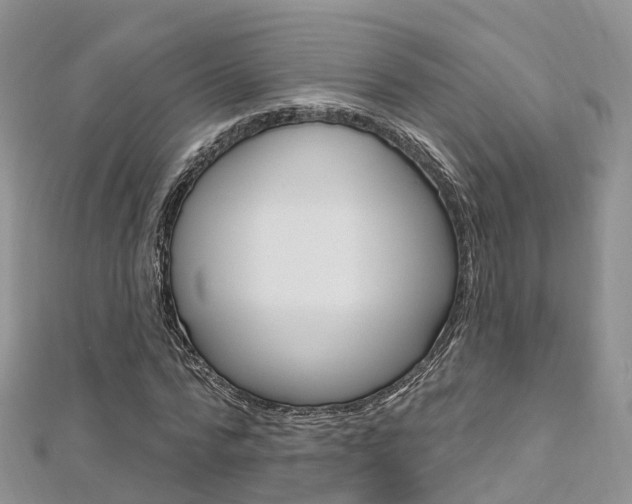 X0000112740776200908201034