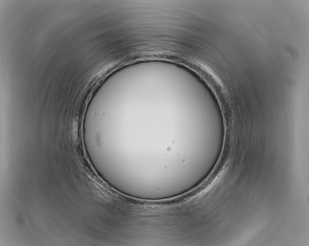 X0000112740777200908201034