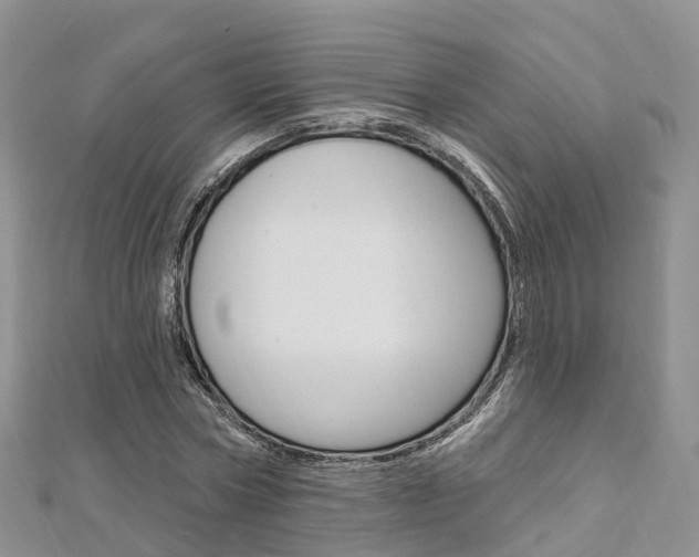 X0000112740778200908201034