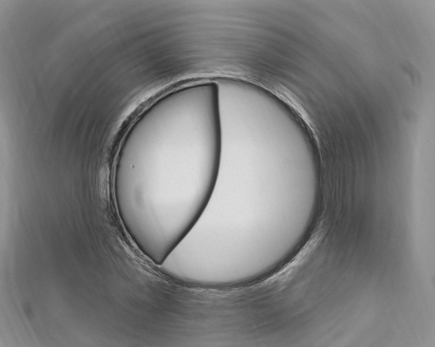 X0000112740781200908201034