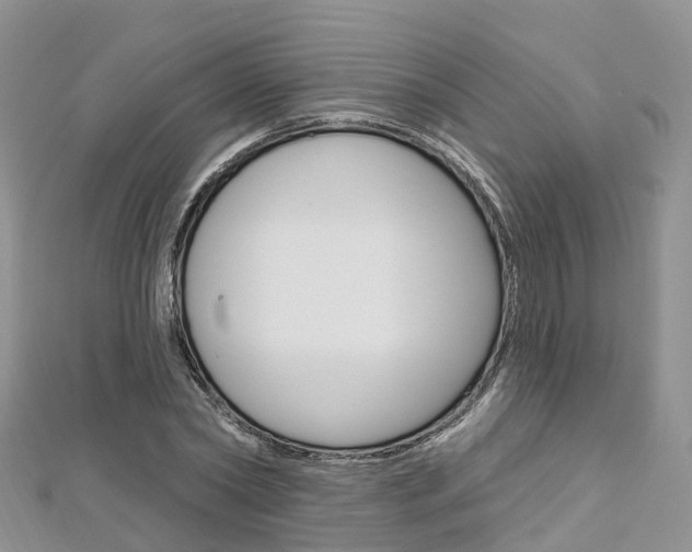 X0000112740782200908201034