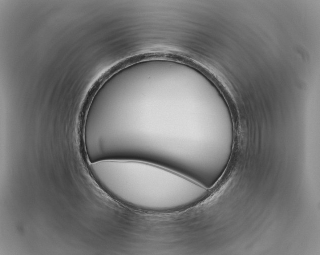 X0000112740783200908201034