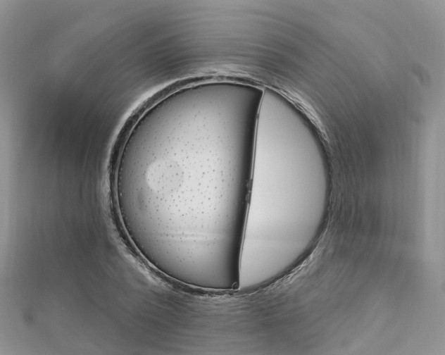 X0000112740784200908201034