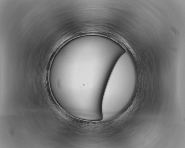 X0000112740786200908201034