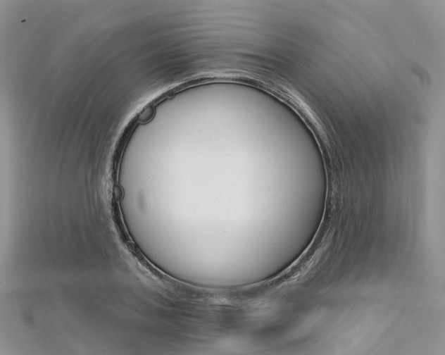 X0000112740787200908201034