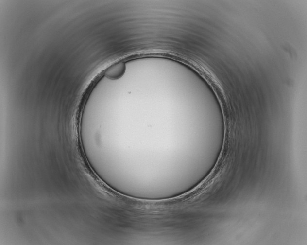 X0000112740789200908201034