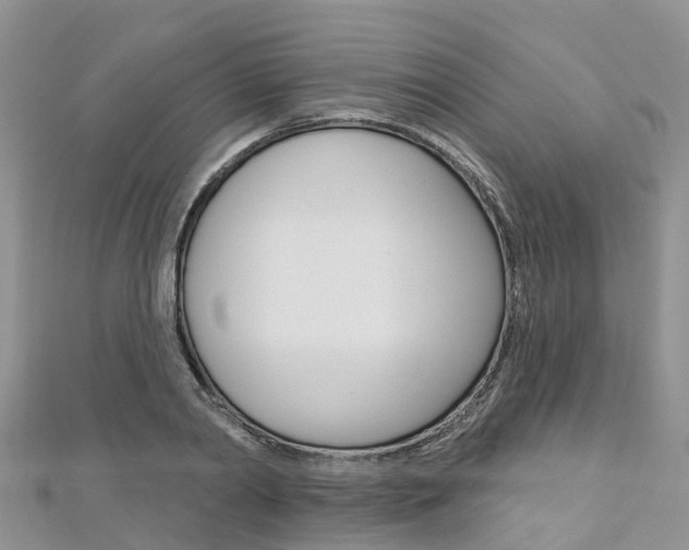 X0000112740790200908201034