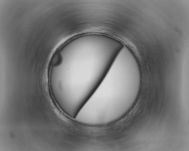X0000112740792200908201034