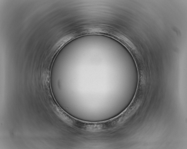 X0000112740793200908201034