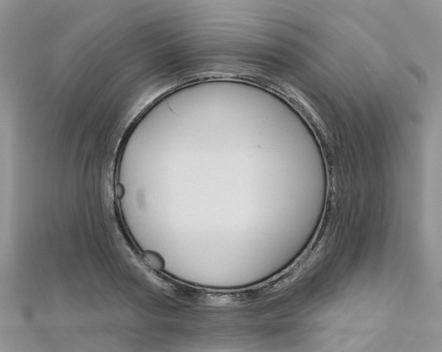 X0000112740794200908201034