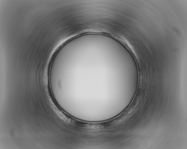 X0000112740795200908201034