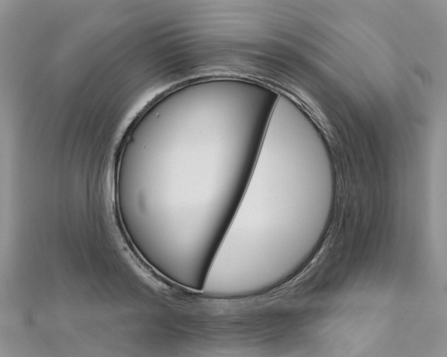 X0000112740796200908201034