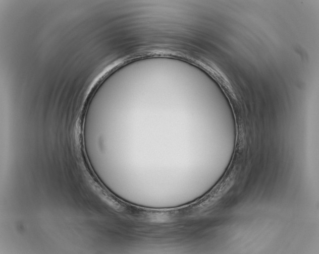 X0000112740798200908201034