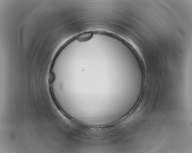 X0000112740799200908201034