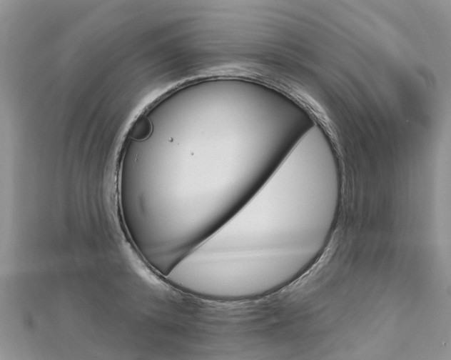 X0000112740800200908201034