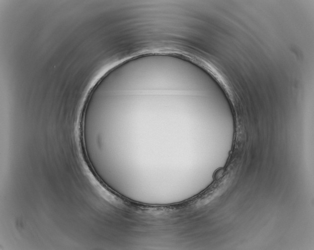 X0000112740803200908201034